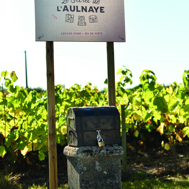 Que faire cet été dans le Vignoble de Nantes ?