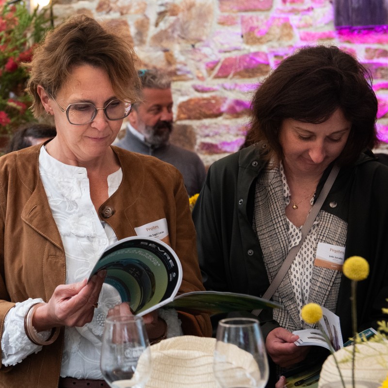 Soirée de lancement du Pépites n°17
