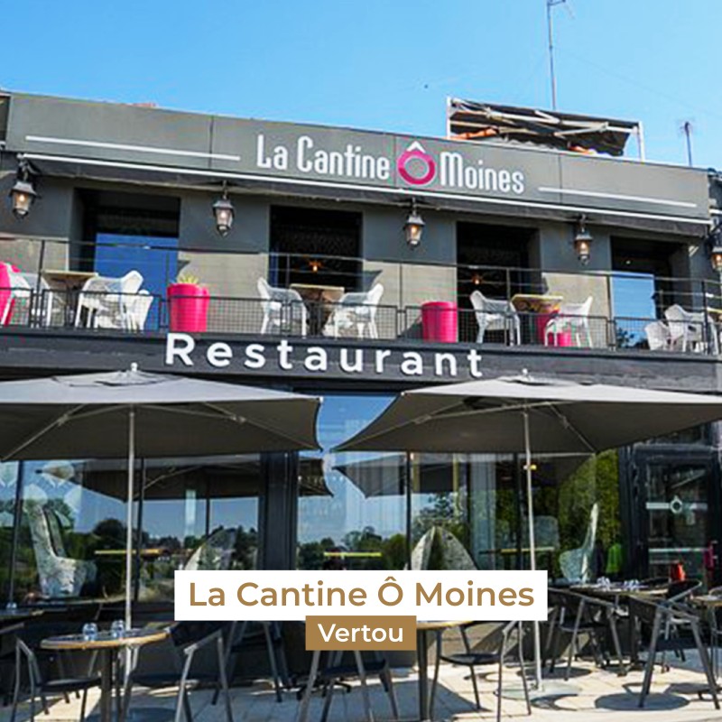 Les terrasses dans le Vignoble nantais