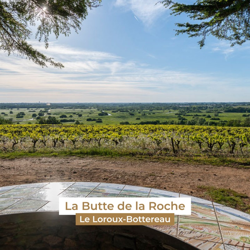 Les spots pour un pique-nique dans le Vignoble nantais