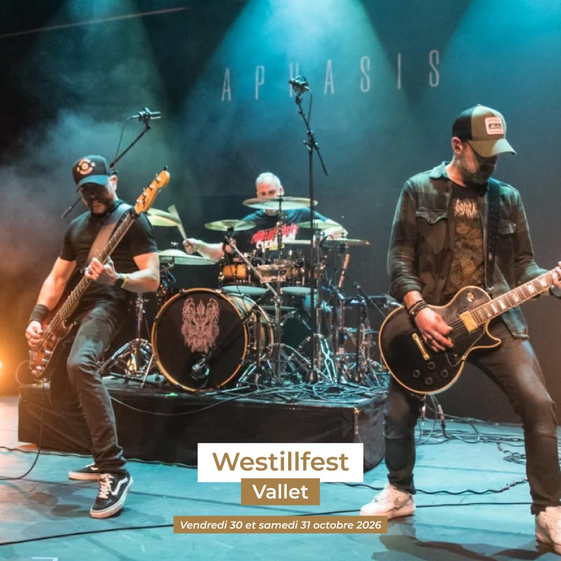 5 idées de festival dans le Vignoble nantais